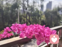 真正难走的路不是从后场走到前排的距离，而是从地面走向高台的阶梯。这世界上，有多少天分败给努力，又有多少才华输给坚持！