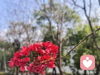 真正难走的路不是从后场走到前排的距离，而是从地面走向高台的阶梯。这世界上，有多少天分败给努力，又有多少才华输给坚持！