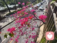 莫被浮云遮望眼，心有乾坤天地宽！每个人的心理都有一片独特的森林，深邃且迷人，但开启前都要小心翼翼并经过层层阴霾。别担心，您值得被关注，我值得您信赖。