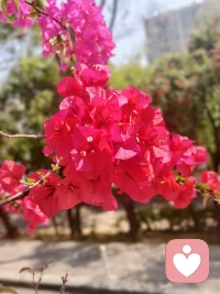 世间之人皆有欲，有欲故有求，求而不得故生烦恼，烦恼无以排遣故有心结，人就陷入“无明”状态，如果有缘，您有故事，我有时间，咱们一起聊聊吧。配图