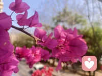 世间之人皆有欲，有欲故有求，求而不得故生烦恼，烦恼无以排遣故有心结，人就陷入“无明”状态，如果有缘，您有故事，我有时间，咱们一起聊聊吧。配图