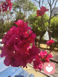 世间之人皆有欲，有欲故有求，求而不得故生烦恼，烦恼无以排遣故有心结，人就陷入“无明”状态，如果有缘，您有故事，我有时间，咱们一起聊聊吧。配图