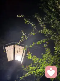 等待也好，迷茫也罢，都不要把自己留在原地。因为只要下定决心，每一天都是新的开始，晚安💤配图