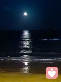 等待也好，迷茫也罢，都不要把自己留在原地。因为只要下定决心，每一天都是新的开始，晚安💤配图