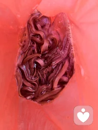 一念放生，万物生辉！这是对生命最美的赞美，也是对自然最深的敬仰。
配图