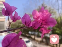 心理学不仅是一把打开人性奥秘之门的钥匙，更是帮助我们在纷繁复杂世界中，找到方向感的指南针。配图