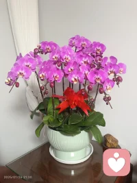 凝视深渊时，深渊也在凝视你；而当你拥抱光明，光明亦将你环绕。——此句话来自尼采，阐述镜像的哲学。配图