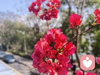 真正的丰盈者能够“事来心应，事去心止”，在接纳生命不完美的过程中，与生活温柔相拥‌‌。