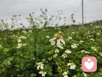 改变永远不嫌晚，无论你是几岁，无论你目前的情况有多糟糕，只要立定目标，一步一步的往前走，随时都有翻盘的可能。