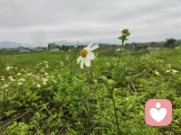 改变永远不嫌晚，无论你是几岁，无论你目前的情况有多糟糕，只要立定目标，一步一步的往前走，随时都有翻盘的可能。