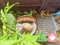 不要让别人告诉你，你不能做什么，只要有梦想就要去追求，因为这是自己选择的人生路。