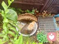 不要让别人告诉你，你不能做什么，只要有梦想就要去追求，因为这是自己选择的人生路。