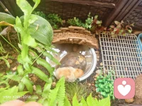 不要让别人告诉你，你不能做什么，只要有梦想就要去追求，因为这是自己选择的人生路。