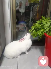 千人同茶不同味，万人同道不同行，别拿自己标准绑架别人，更别拿别人的眼光为难自己。一句话：学会换位思考，立场就分明。