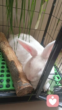 千人同茶不同味，万人同道不同行，别拿自己标准绑架别人，更别拿别人的眼光为难自己。一句话：学会换位思考，立场就分明。