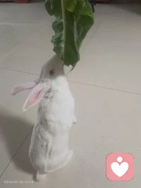 千人同茶不同味，万人同道不同行，别拿自己标准绑架别人，更别拿别人的眼光为难自己。一句话：学会换位思考，立场就分明。