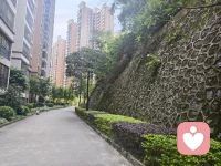 “午间时光，愿您有个放松的片刻。如果有需要倾诉或咨询的事，我随时在线。”配图