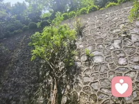 “午间时光，愿您有个放松的片刻。如果有需要倾诉或咨询的事，我随时在线。”配图