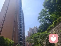 “午间时光，愿您有个放松的片刻。如果有需要倾诉或咨询的事，我随时在线。”配图