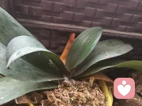 人生总是拿顺其自然来敷衍人生道路的荆棘坎坷，却很少有人承认——真正的顺其自然是竭尽所能之后的不强求，而非两手一摊的不作为。配图