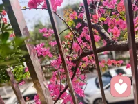 在我们的心灵深处，爱和孤独其实是同一种情感，它们如影随形不可分离，越是在我们感觉孤独之时，我们便越是怀有强烈的爱之渴望。配图