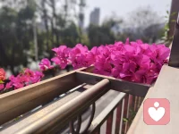 在我们的心灵深处，爱和孤独其实是同一种情感，它们如影随形不可分离，越是在我们感觉孤独之时，我们便越是怀有强烈的爱之渴望。配图