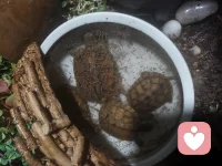 愿我们都能在理解人性的复杂与美好中，多一分对自己的慈悲，对他人的共情，让心理学成为照进生活的一束温暖而理性的光。配图