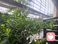 今天想说的是——“当我们停止与情绪对抗，转而好奇其背后的需求，疗愈便悄然发生。”配图