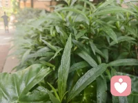 心理咨询提供的不是一个答案，而是一段陪伴你寻找自己答案的旅程。每次抵达内心深处的疗愈，不是消除伤痛，而是学会与它共处，并找到前行的力量，所以承认自己的脆弱也是一种强大，更是一种勇气。配图