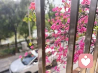 心理咨询提供的不是一个答案，而是一段陪伴你寻找自己答案的旅程。每次抵达内心深处的疗愈，不是消除伤痛，而是学会与它共处，并找到前行的力量，所以承认自己的脆弱也是一种强大，更是一种勇气。配图