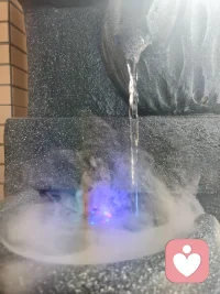 今天分享——某人不如你所愿爱你，并不意味着你不被他人所爱。配图