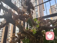 今日分享——心理学教会我们的，不是如何成为完美的人，而是如何成为完整的、真实的自己。配图