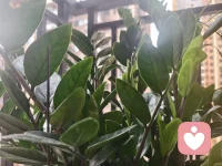 今日分享——心理学教会我们的，不是如何成为完美的人，而是如何成为完整的、真实的自己。配图