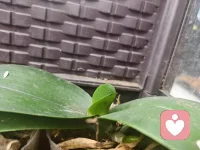 “六一”分享——‌儿童期守护童心=奠基终身心理资本‌：安全、被倾听的童年（即无条件接纳情绪、少评判）能塑造高自尊与抗压人格，如忽视则易致成年后自卑、情绪失调或“内在小孩”创伤，在此愿我们代代都有“幸福六一”。