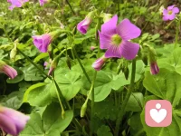 当你迷茫无助的时候，不放放下身段去做一些轻松看似无意义的事情。心理学有一个叫孵化效应，就是告诉大家，当人们暂时搁置一个难题或任务，转而从事其他无关活动后，反而更有可能获得创造性的灵感或解决方案。这并非懒惰，而是大脑潜意识持续工作的科学体现，许多重大的科学发现与艺术创作都受益于此。