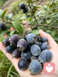 今日分享——当你焦虑无法决定解决当下问题，就着手眼前马上能落实的小事情，也许这小事情就是“线头”，拉开了所有的事情都会有条不紊的进行。