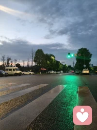 绿灯亮了，路面还湿着，像刚哭过的眼睛。
我们总在等一个时机，等雨停，等风来，等一个人先转身。
可人生哪有那么多刚刚好？
绿灯会灭，雨会停，有些路，终究要自己走。
那些湿过的路，会让脚印更清晰。