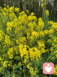 生活从来都不容易，谁不是在崩溃边缘撑着笑脸，慢慢学会与自己和解。人到一定年纪，不再讨好谁，也不勉强谁，安稳自在，比什么都重要。