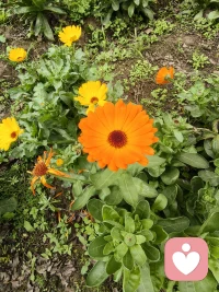 倾听者，陪聊接单，情绪垃圾，心事，难过，迷茫都可以给我说，耐心陪伴，认真倾听，只做你最靠谱的聆听者，私聊接单，诚信靠谱