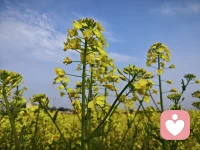 以前觉得沟通很重要，后来发现共鸣才是绝杀，也渐渐明白，人和人的争辩是没有意义的，把争辩的时间放在爱自己上才是王道配图