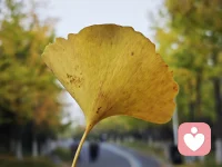 余生不慌不忙，不负岁月，不负自己，与生活和解，与自己和解，好好爱自己，是一切美好的开始。
幸福的另一个名字，叫普通的一天。配图