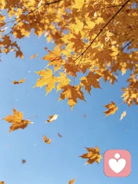 “该发芽的发芽，该凋落的凋落。春天从不纠结。你也一样：有些事适合留在上一季，轻装上阵，才能走进新的风景里。”