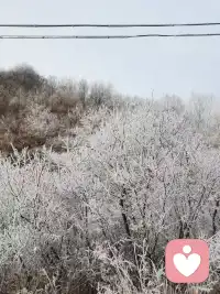 轻轻的我来了，送你柔柔的问候。静静地等待着，你来我随时在配图