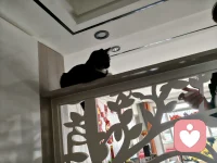 无爱破情侣，无情破全局，当你不再执着于被爱，你就是过了情关的人了，你以后的人生就是开挂模式，，但这一路你要把自己的心撕碎一万遍，再缝补一万零一遍，其中的痛除了你自己就只有我懂，我知道你不需要别人帮你做选择，我知道你不需要别人给你讲道理，你只需要找个安全的树洞，把那些心痛倾吐出来，清楚垃圾才能更好的运行，所以我一直在，一直在等你配图