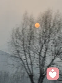 我的内耗和这暖暖的太阳不配配图