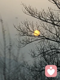 我的内耗和这暖暖的太阳不配配图