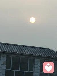 我的内耗和这暖暖的太阳不配配图