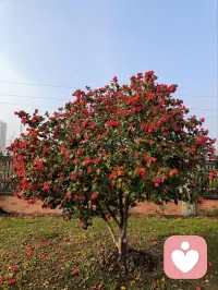 今天晚上有人愿意对我敞开心扉吗？只要你愿意我就陪你，我想我们聊聊感情，聊聊生活，聊聊一地鸡毛配图