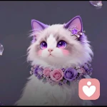 明心倾听的头像