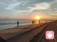 海南～三亚～ 2026.2.27
椰梦长廊🌊  ➡️ 鲜芒夜市 
遇见一个摄影师太热情了 给baby拍了很多美美照片～配图